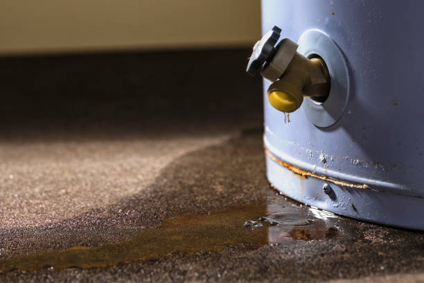 Best Commercial water damage restoration  in Bryans Road, MD
