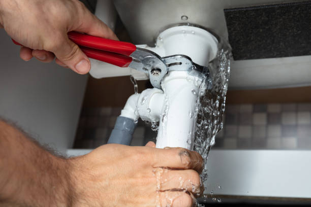 Best Professional water damage repair  in Bryans Road, MD