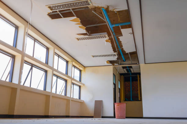 Best Water damage restoration services  in Bryans Road, MD