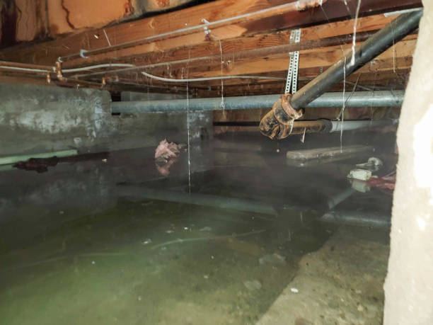 Best Flooded house restoration  in Bryans Road, MD