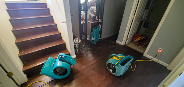 Professional Water damage restoration in Bryans Road, MD