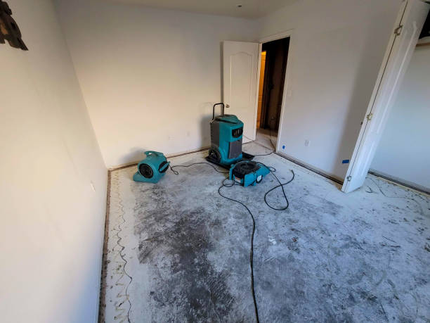 Best Basement water damage restoration  in Bryans Road, MD