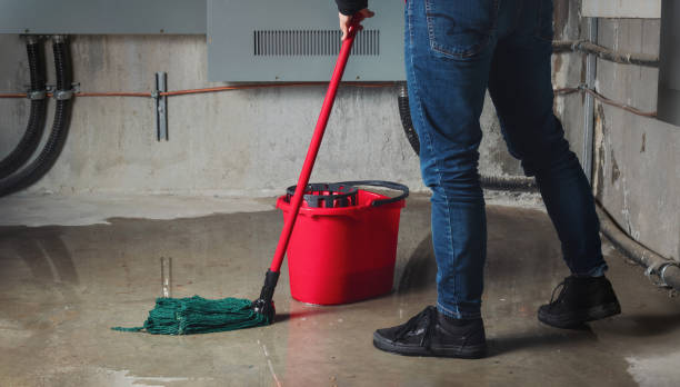 Best Water damage cleanup near me  in Bryans Road, MD