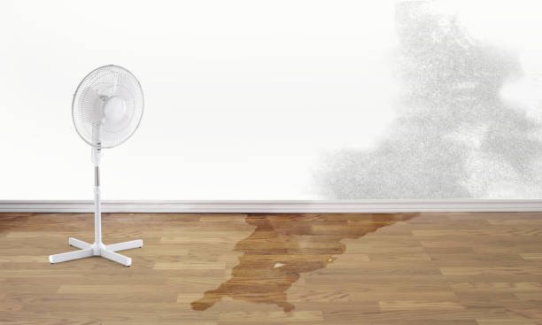 Best Water damage restoration process  in Bryans Road, MD