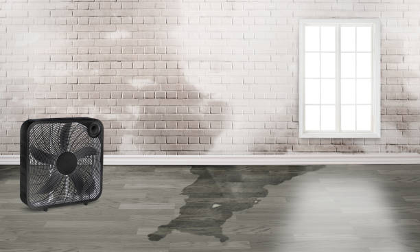 Water damage restoration process in Bryans Road, MD