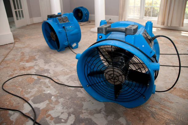 Local water damage restoration in Bryans Road, MD