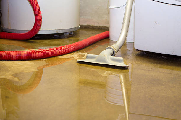 Best Water damage contractors near me  in Bryans Road, MD