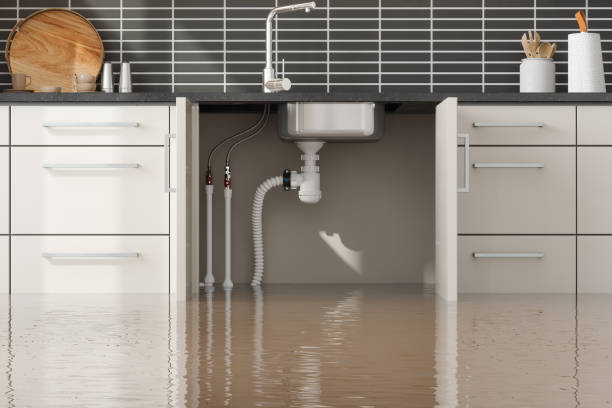 Carpet water damage restoration in Bryans Road, MD