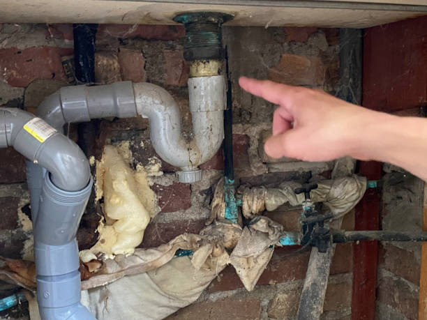 Best Water damage restoration company  in Bryans Road, MD