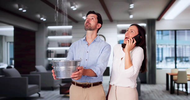 Best Water damage restoration near me  in Bryans Road, MD