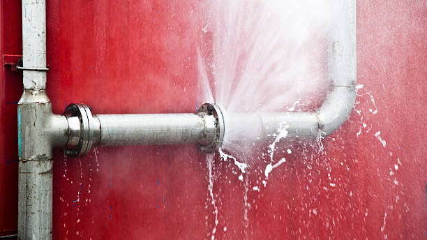 Best Professional water damage repair  in Bryans Road, MD